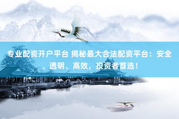 专业配资开户平台 揭秘最大合法配资平台：安全、透明、高效，投资者首选！
