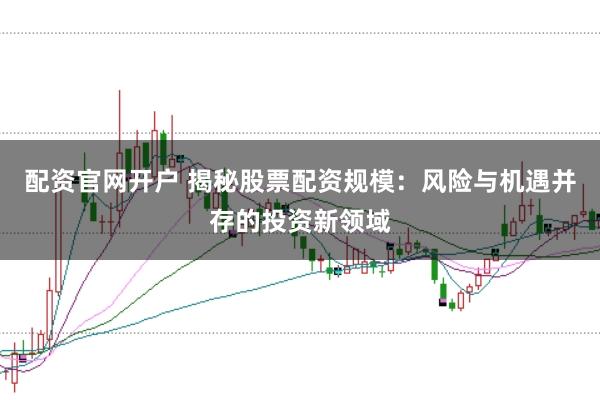 配资官网开户 揭秘股票配资规模：风险与机遇并存的投资新领域