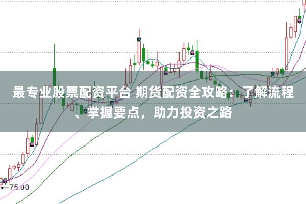 最专业股票配资平台 期货配资全攻略：了解流程、掌握要点，助力投资之路