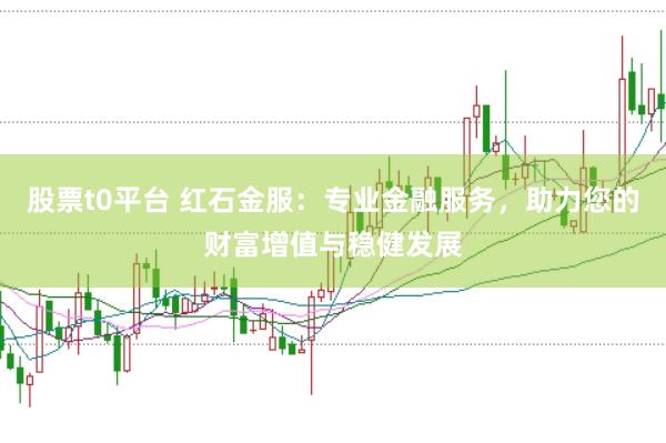 股票t0平台 红石金服：专业金融服务，助力您的财富增值与稳健发展