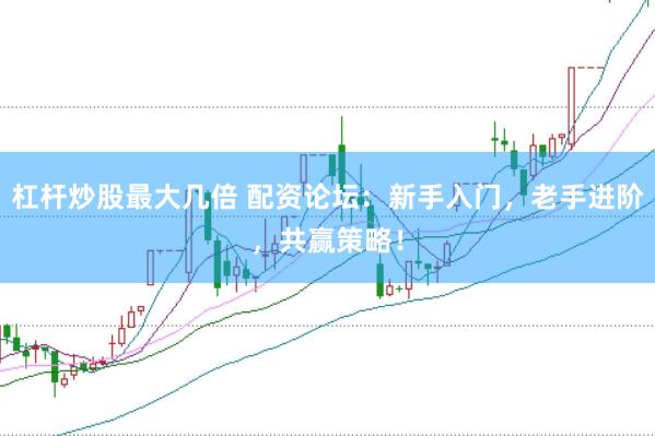 杠杆炒股最大几倍 配资论坛：新手入门，老手进阶，共赢策略！