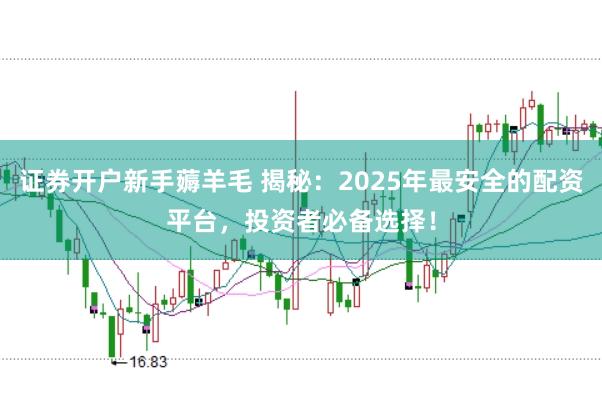 证券开户新手薅羊毛 揭秘：2025年最安全的配资平台，投资者必备选择！