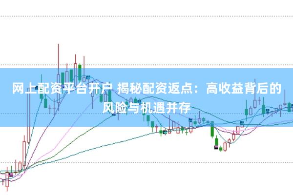 网上配资平台开户 揭秘配资返点：高收益背后的风险与机遇并存