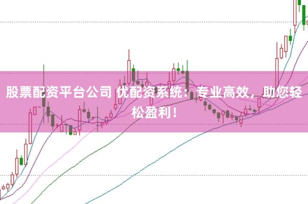 股票配资平台公司 优配资系统：专业高效，助您轻松盈利！
