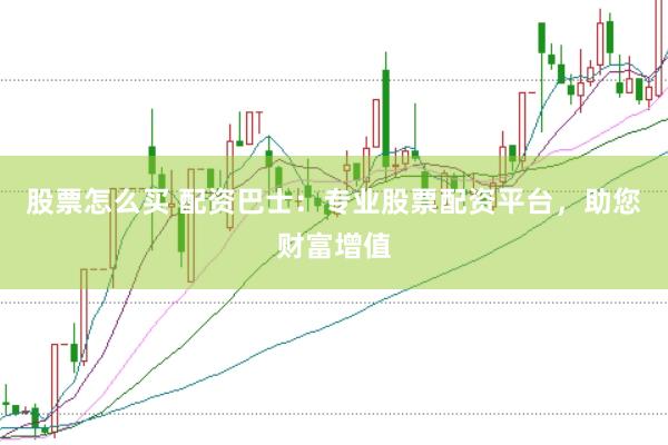 股票怎么买 配资巴士：专业股票配资平台，助您财富增值