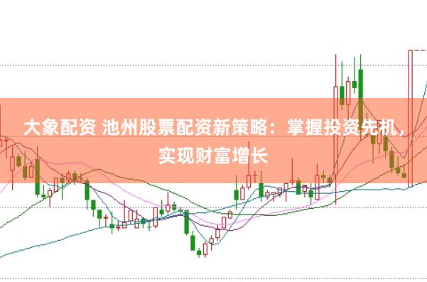 大象配资 池州股票配资新策略：掌握投资先机，实现财富增长