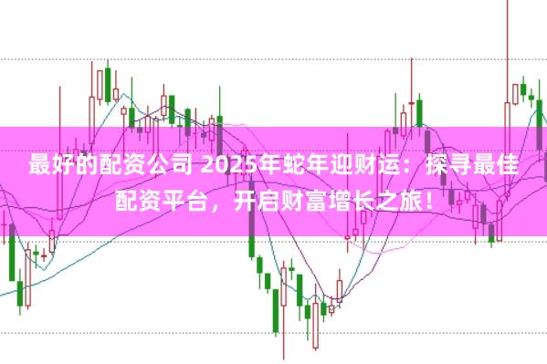 最好的配资公司 2025年蛇年迎财运：探寻最佳配资平台，开启财富增长之旅！