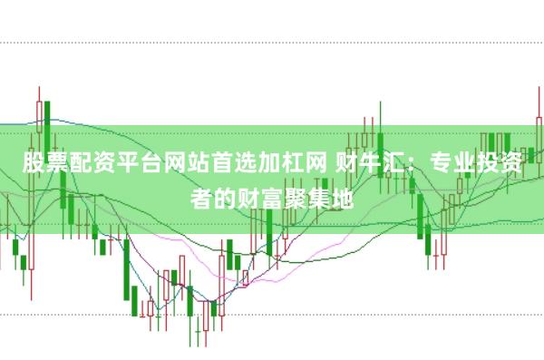 股票配资平台网站首选加杠网 财牛汇：专业投资者的财富聚集地