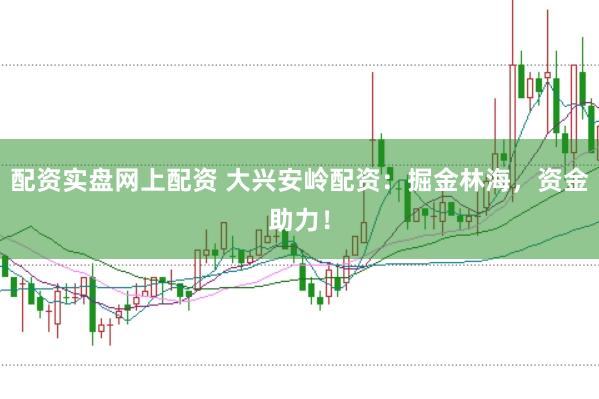 配资实盘网上配资 大兴安岭配资：掘金林海，资金助力！