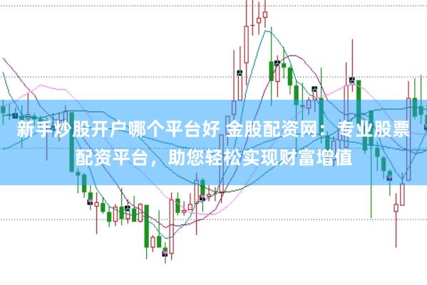 新手炒股开户哪个平台好 金股配资网：专业股票配资平台，助您轻松实现财富增值