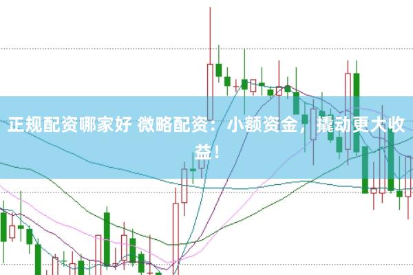 正规配资哪家好 微略配资：小额资金，撬动更大收益！