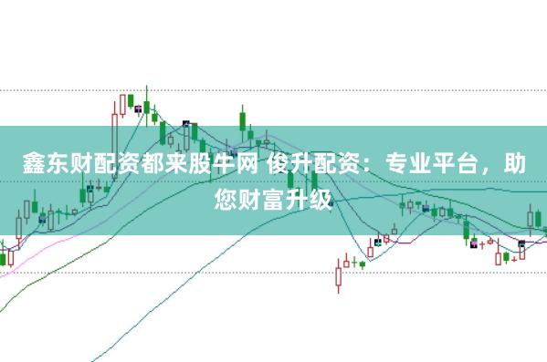 鑫东财配资都来股牛网 俊升配资：专业平台，助您财富升级