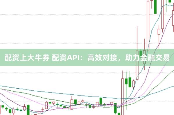 配资上大牛券 配资API：高效对接，助力金融交易
