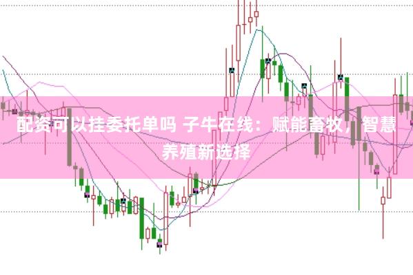 配资可以挂委托单吗 子牛在线：赋能畜牧，智慧养殖新选择