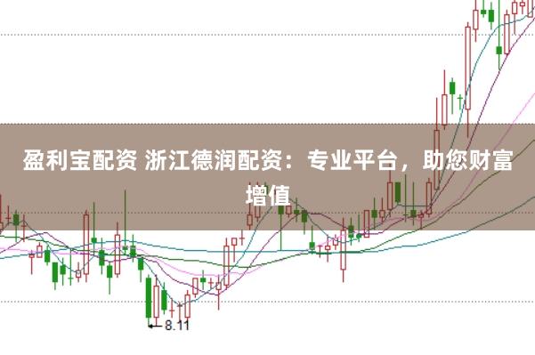 盈利宝配资 浙江德润配资：专业平台，助您财富增值