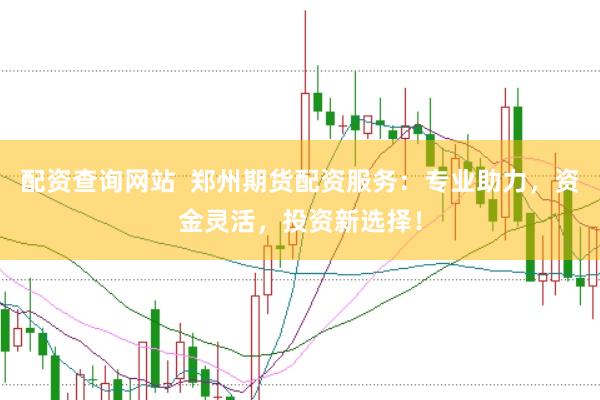 配资查询网站  郑州期货配资服务：专业助力，资金灵活，投资新选择！
