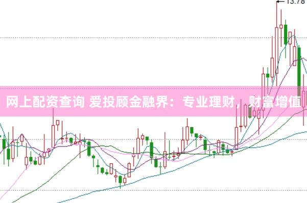 网上配资查询 爱投顾金融界：专业理财，财富增值