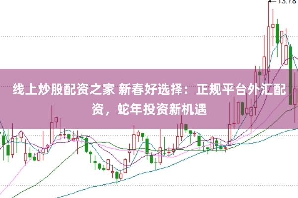线上炒股配资之家 新春好选择：正规平台外汇配资，蛇年投资新机遇