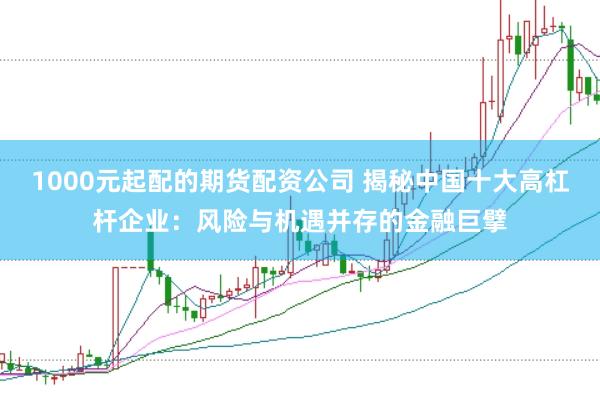 1000元起配的期货配资公司 揭秘中国十大高杠杆企业：风险与机遇并存的金融巨擘