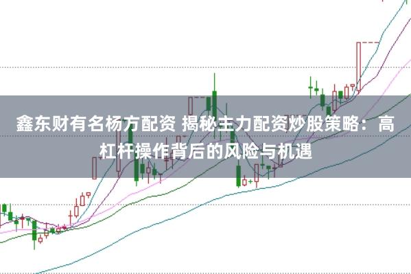 鑫东财有名杨方配资 揭秘主力配资炒股策略：高杠杆操作背后的风险与机遇