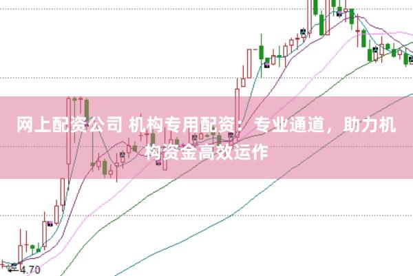 网上配资公司 机构专用配资：专业通道，助力机构资金高效运作