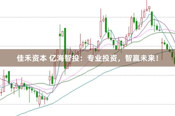 佳禾资本 亿海智投：专业投资，智赢未来！