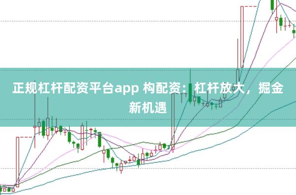 正规杠杆配资平台app 构配资：杠杆放大，掘金新机遇