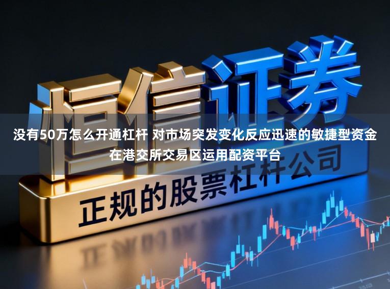 没有50万怎么开通杠杆 对市场突发变化反应迅速的敏捷型资金在港交所交易区运用配资平台