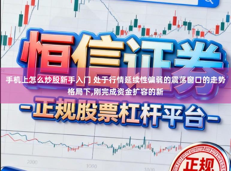 手机上怎么炒股新手入门 处于行情延续性偏弱的震荡窗口的走势格局下，刚完成资金扩容的新