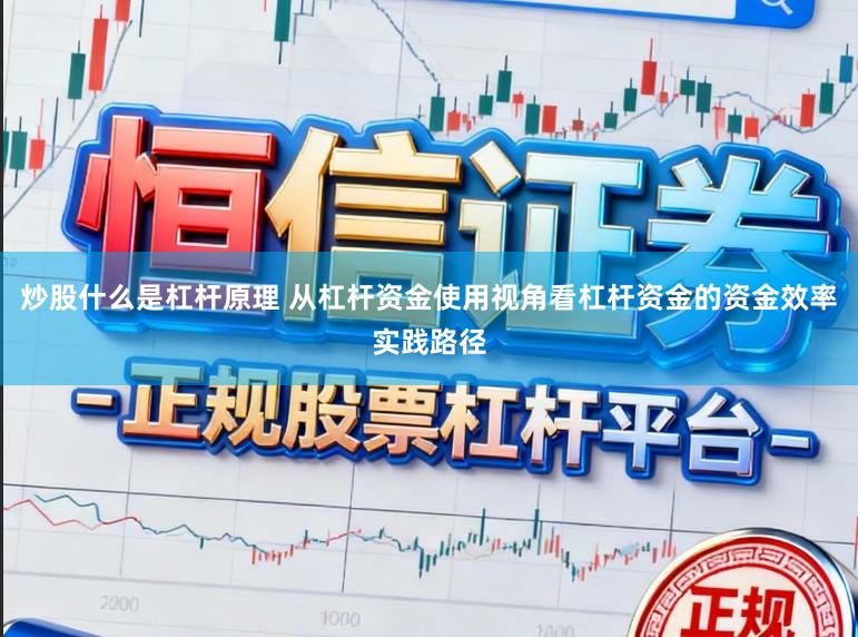 炒股什么是杠杆原理 从杠杆资金使用视角看杠杆资金的资金效率实践路径